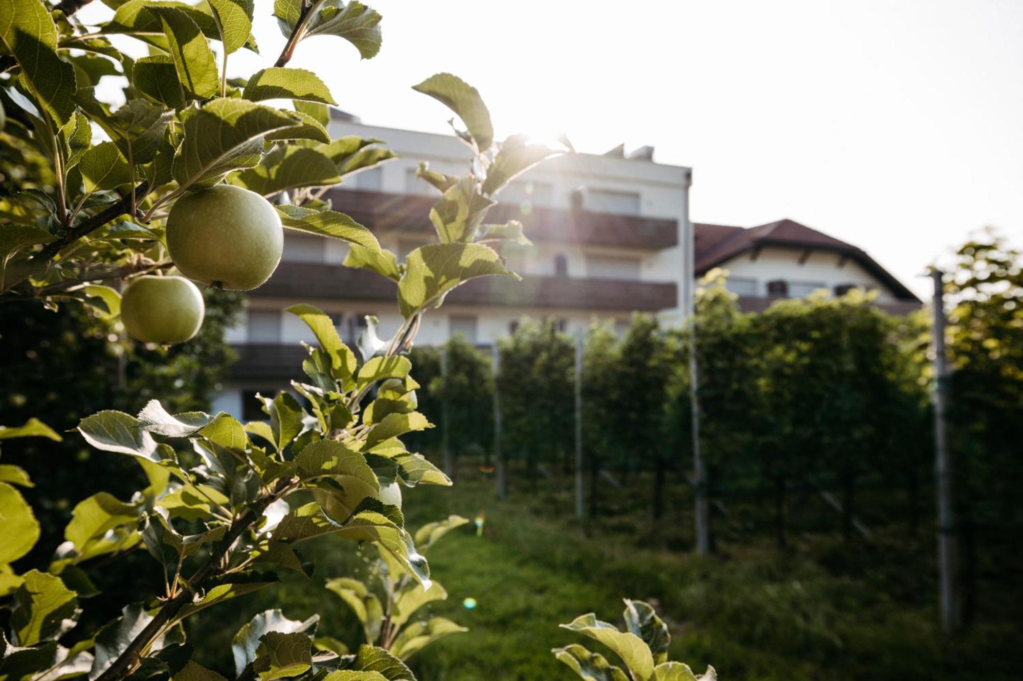 Hotel Gantkofel Άντριαν Εξωτερικό φωτογραφία